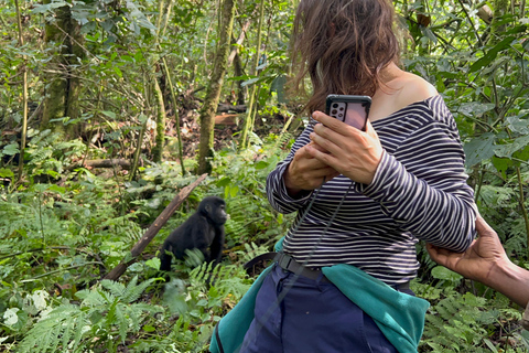 Viagem de 1 dia ao Ruanda, Uganda e Congo (RDC) para fazeres um trekking aos gorilas