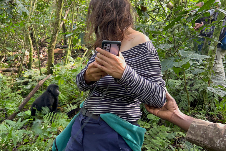 Viagem de 1 dia ao Ruanda, Uganda e Congo (RDC) para fazeres um trekking aos gorilas