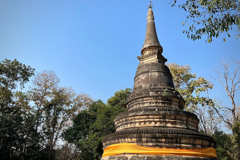 Chiang Mai:Wat Phra That Doi Suthep & Wat Umong Evening Tour Chiang Mai: Wats Phra That Doi Suthep & Umong Evening Tour