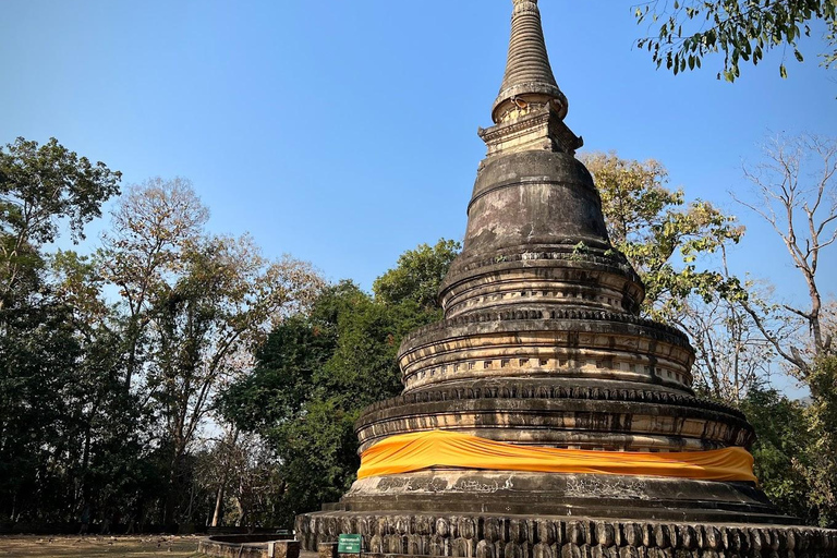 Chiang Mai:Wat Phra That Doi Suthep & Wat Umong Evening Tour Chiang Mai: Wats Phra That Doi Suthep & Umong Evening Tour