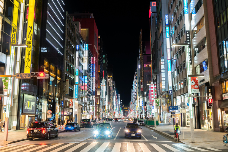 Tokio: Exlusive private Tour mit englischsprachigem ChauffeurStandard Auto 4 pax