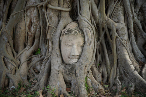 Von Bangkok aus: Ayutthaya Afternoon Serenity Tour &amp; Bootsfahrt2 Tage 1 Nacht