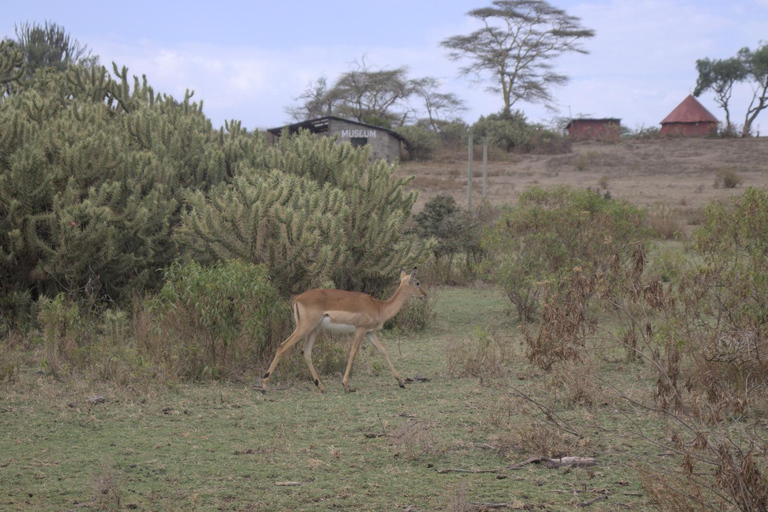 From Nairobi: Crescent Island Safari & Horse Riding