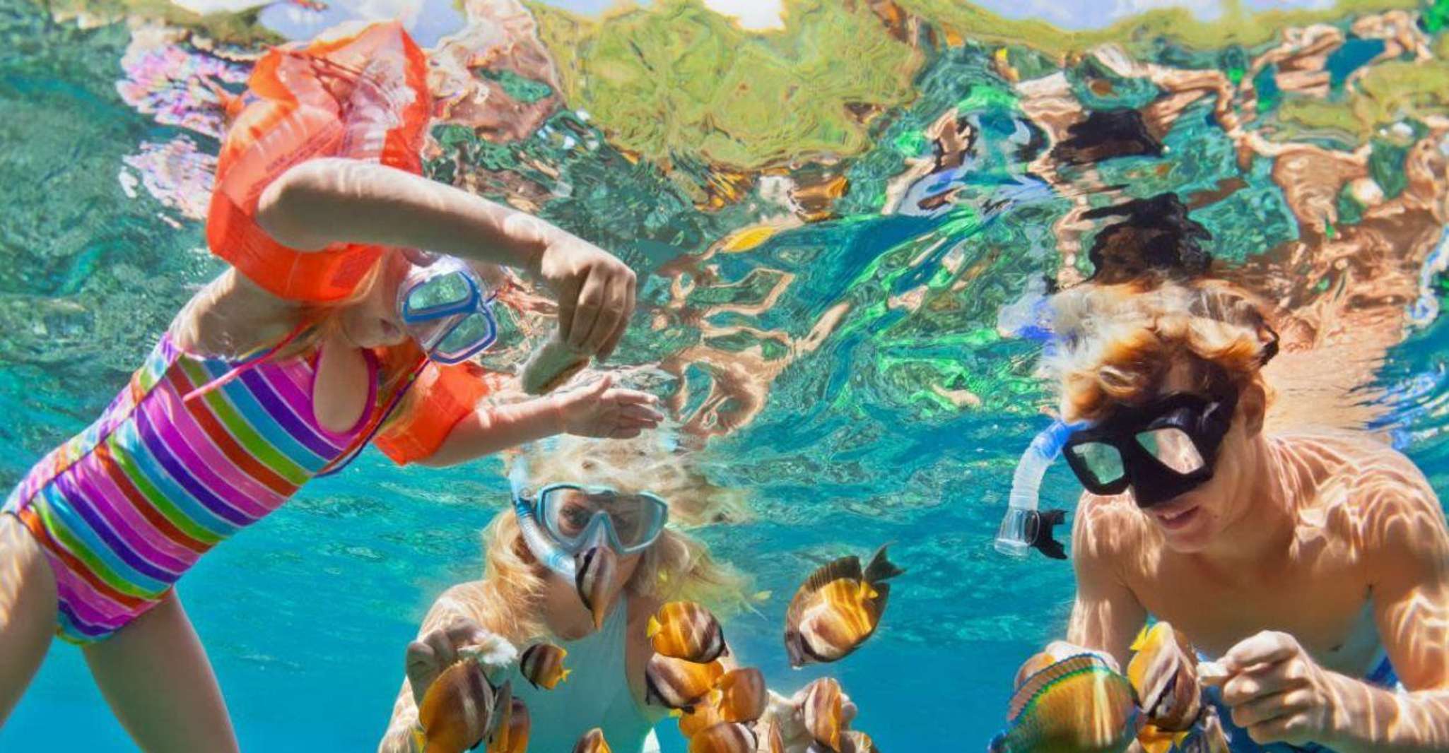 Barú, Club Freedom Beach con Manglares y Snorkel - Hizvo