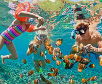 Barú, Club Freedom Beach con Manglares y Snorkel - Hizvo