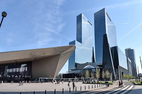 Rotterdam &amp; Haarlem: Private Full-Day Tour from Amsterdam