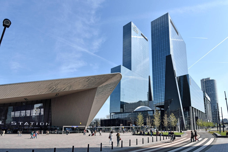 Rotterdam &amp; Haarlem: Private Full-Day Tour from Amsterdam