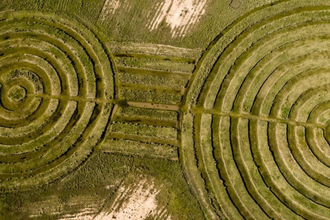 Exkursion nach Chucuito, Aramu Muru und Juli