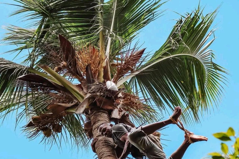 Wycieczka po przyprawach i kamienne miasto $ Wyspa więzienna