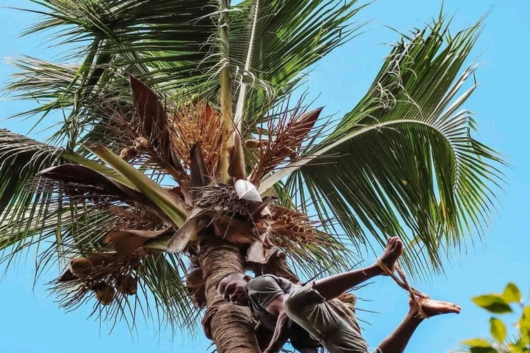 Wycieczka po przyprawach i kamienne miasto $ Wyspa więzienna