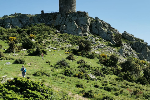 Argelès-sur-Mer: guided morning hike to the Massane tower