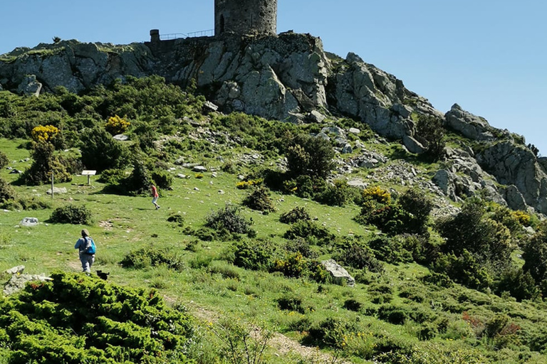 Argelès-sur-Mer: guided morning hike to the Massane tower