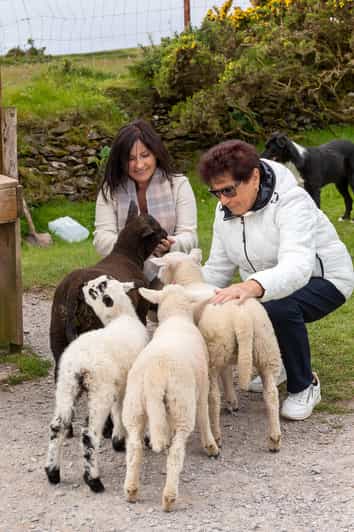 Dingle Peninsula & Slea Head Drive: Tour from Killarney