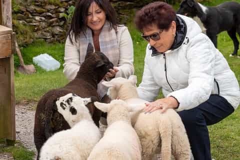 Dingle Peninsula & Slea Head Drive: Tour from Killarney - Image 3