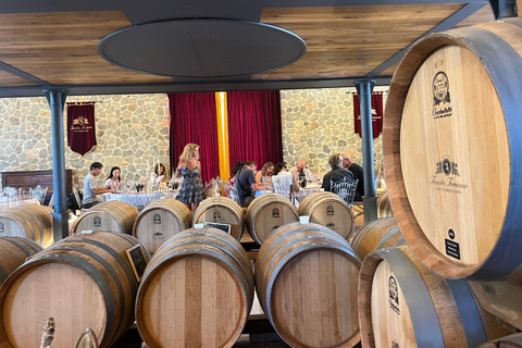 Florence: Pisa, Siena, & San Gimignano Day Trip with Lunch VIP SMALL GROUP