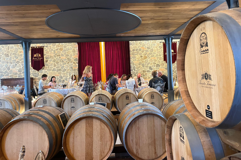 Florence: Pisa, Siena, & San Gimignano Day Trip with Lunch VIP SMALL GROUP