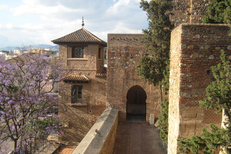 Malaga: long highlights tour with skip-line-tickets