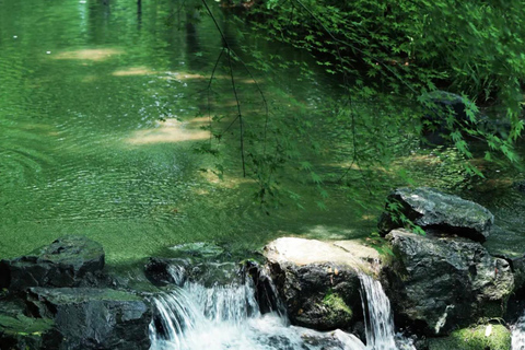 Wuxi: Hangzhou Nine Creeks & Longjing Tea Village Day Trip