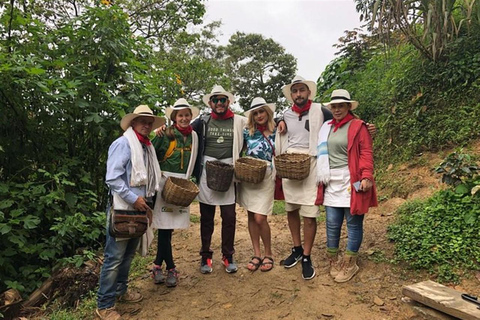 Depuis Medellin : Circuit de 3 jours sur la route du café colonial