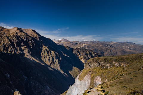 From Arequipa: Tour Fantastic to Colca Canyon |2Days/1Night|