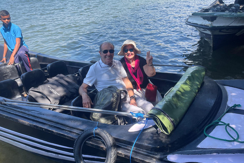 Galle Fort, Sea Turtles & Jungle Beach Private Day Tour