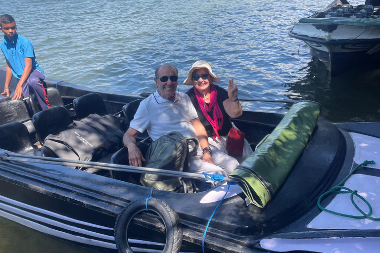 Galle Fort, Sea Turtles & Jungle Beach Private Day Tour