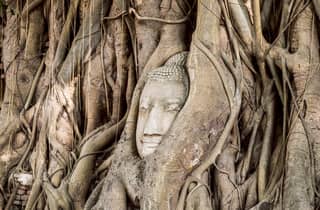 Bangkok: Ayutthaya 5 Tempel und Palast mit Longtail & Lunch