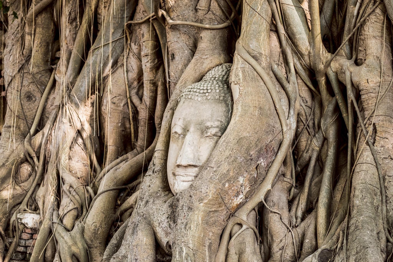 Bangkok: Ayutthaya Temples and Palace Day Trip with Lunch