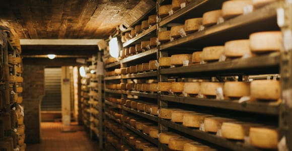 Lake Maggiore: Cheese Cellar Tour & Cheese-and-Wine Tasting