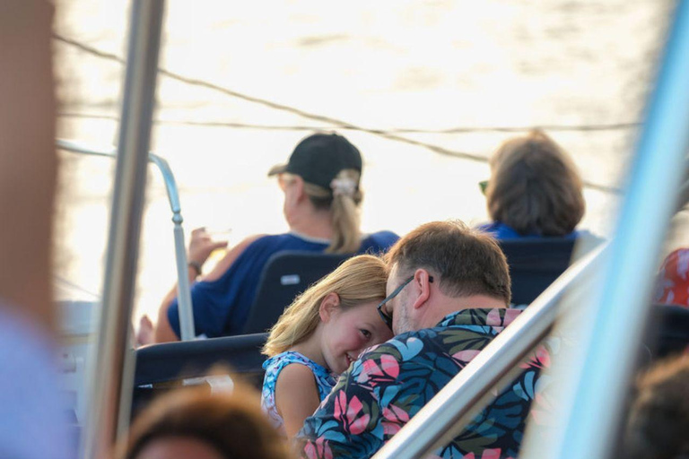 Charleston: Saturday Afternoon Harbor Sail on a Catamaran