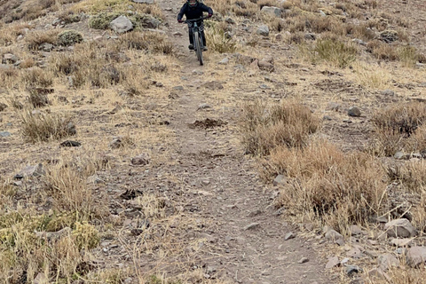 From Santiago: Full-Day High Altitude Andes Bike Adventure