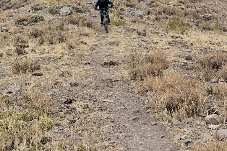 From Santiago: Full-Day High Altitude Andes Bike Adventure