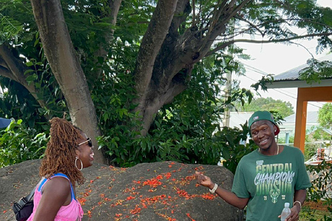 Se det hela {Den lokala bakom kulisserna-turen i St Kitts}