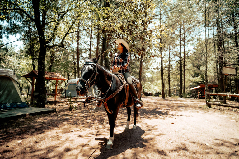 From Oslo: Forest and Lakeside Horse Riding Experience 2-Hour Forest and Lakeside Horse Riding Experience