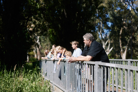 Adelaide: Guided Warriparinga Cultural and Historical Tour