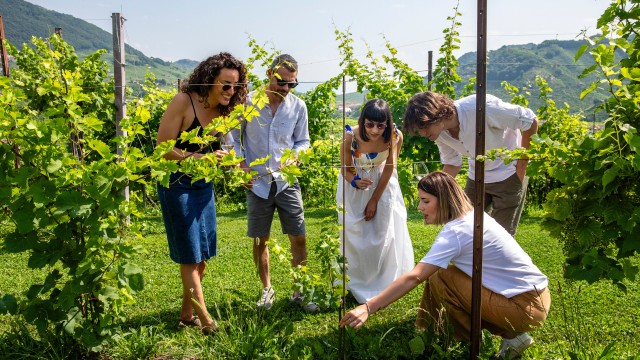 Visit Valdobbiadene Prosecco tasting, winery and vineyard tours in Valdobbiadene