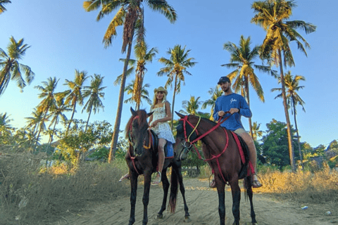 Gili Trawangan: Passeggiata a cavallo sulla spiaggia con trasferimento in hotel