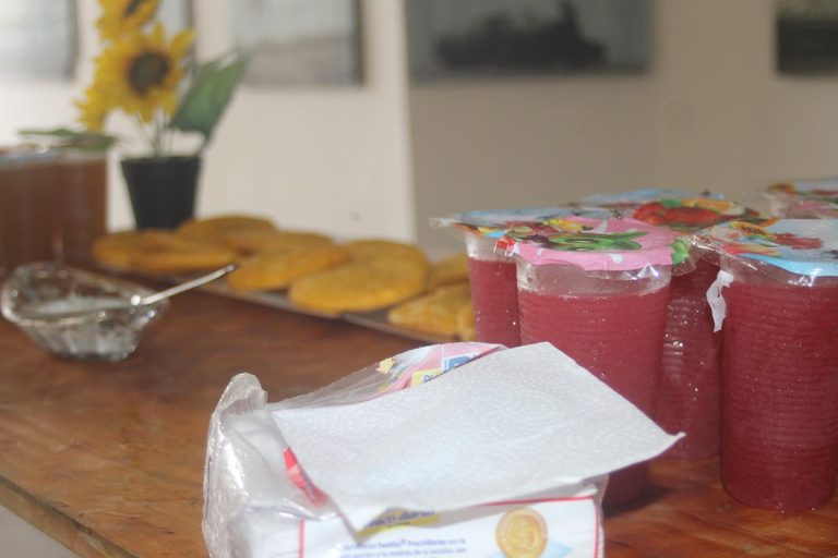 Cartagena: Adventure in Turbaco and botanical garden Cartagena: Turbaco Adventure and Botanical Garden