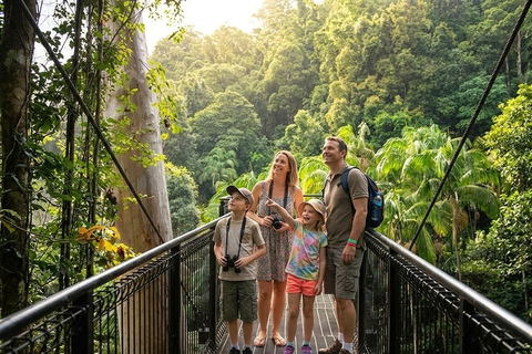 From Brisbane: Private Gold Coast Tour with Meal and Skywalk