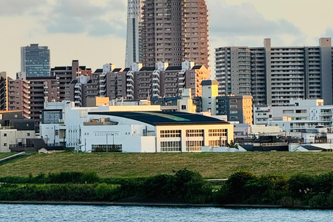 Tokio Hele dag privétrip met Engelssprekende chauffeur/gids