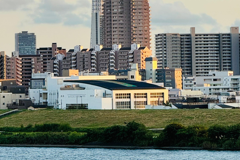 Excursión privada de un día a Tokio con conductor/guía de habla inglesa