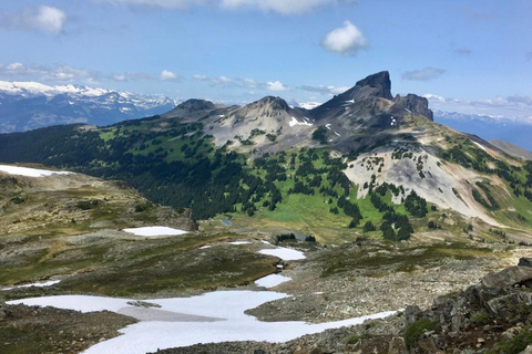 Vancouver: Panorama Ridge Private Guided Hiking Tour