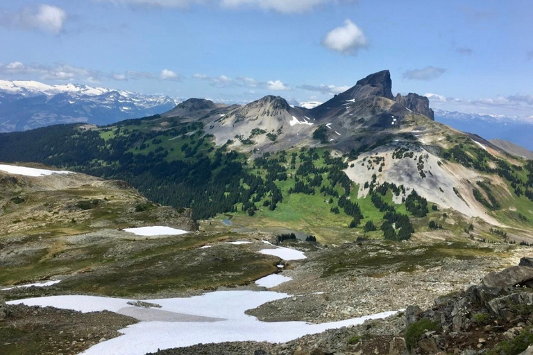 Vancouver: Panorama Ridge Private Guided Hiking Tour
