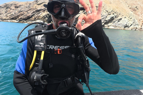 Tayrona National Park: Fun Dives in Caribbean Reefs