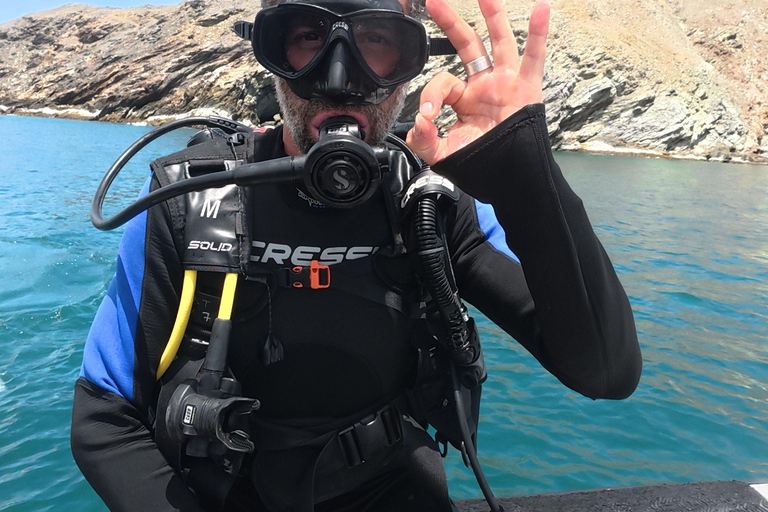 Tayrona National Park: Fun Dives in Caribbean Reefs