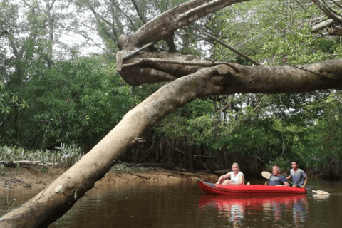 Khao Lak: Sri Phang Nga National Park und Takuapa Tour