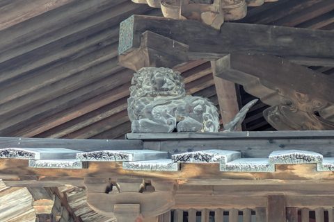 From Osaka: Horyuji Temple and Mount Ikoma Day Tour
