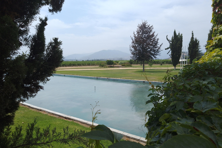 Wineries Tour in Casablanca Valley from Valparaiso Shared tour