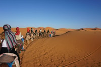 Fez a fez , el lujo 2 días 1 noche de desierto tour - Hizvo