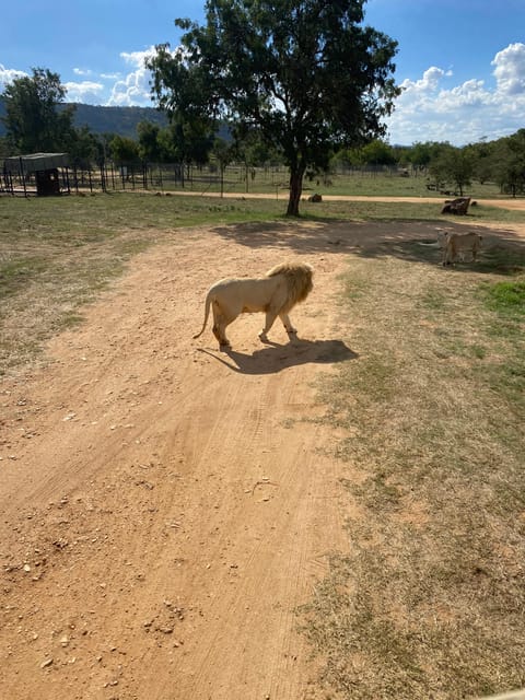メディア コラージュ